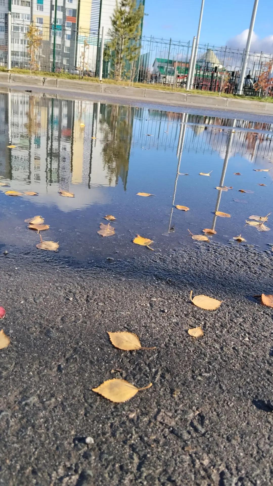Поговорим о погоде на завтра