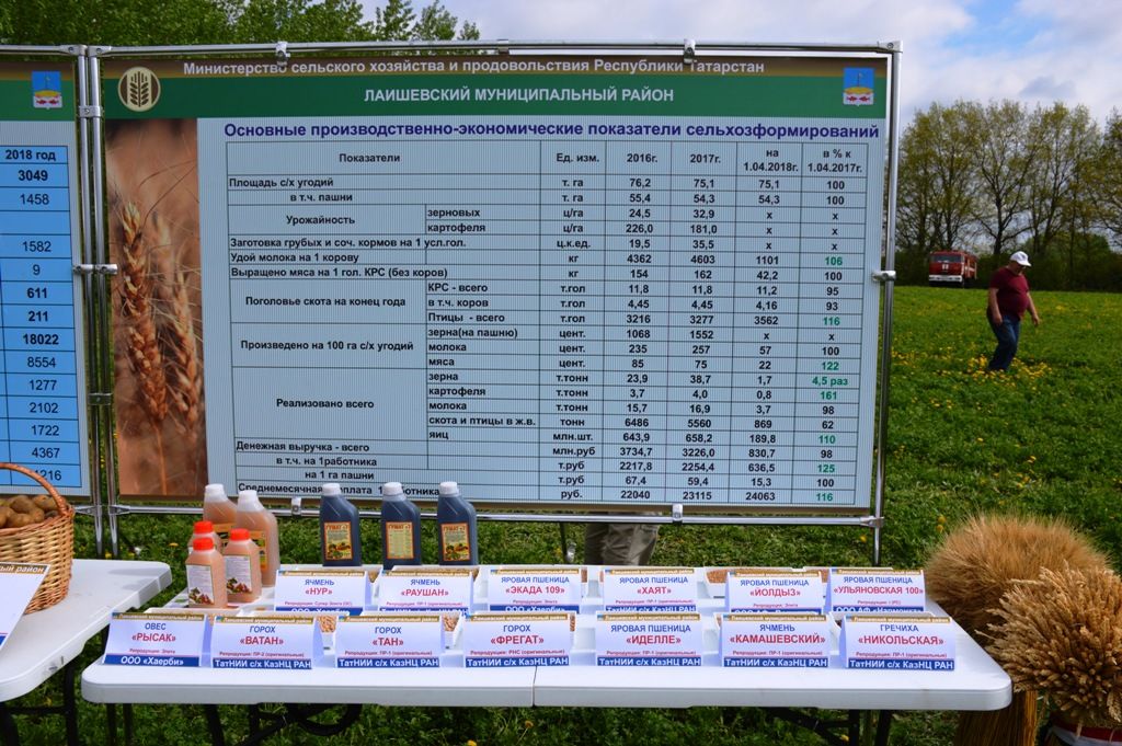Сельскохозяйственная выставка производителей Лаишевского района