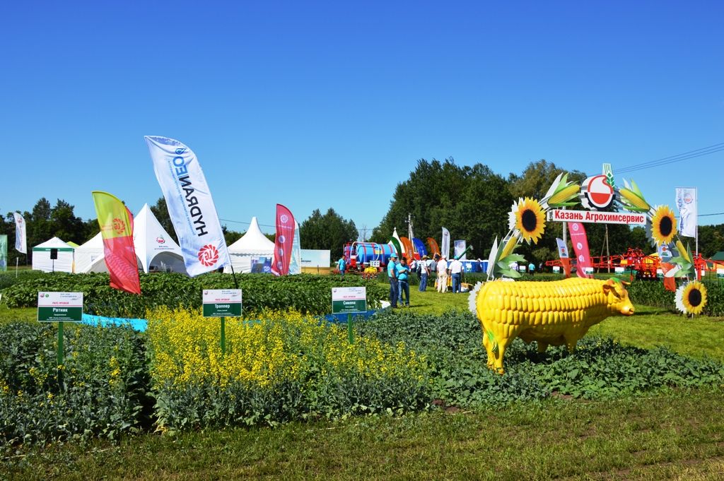 В Лаишевском районе стартовала выставка полевого формата «День поля в Татарстане – 2018»