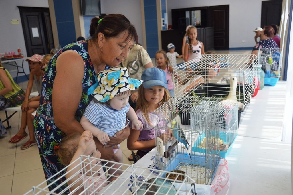 С четвероногими, пернатыми и водоплавающими животными познакомились дети в «Домашнем зоопарке»