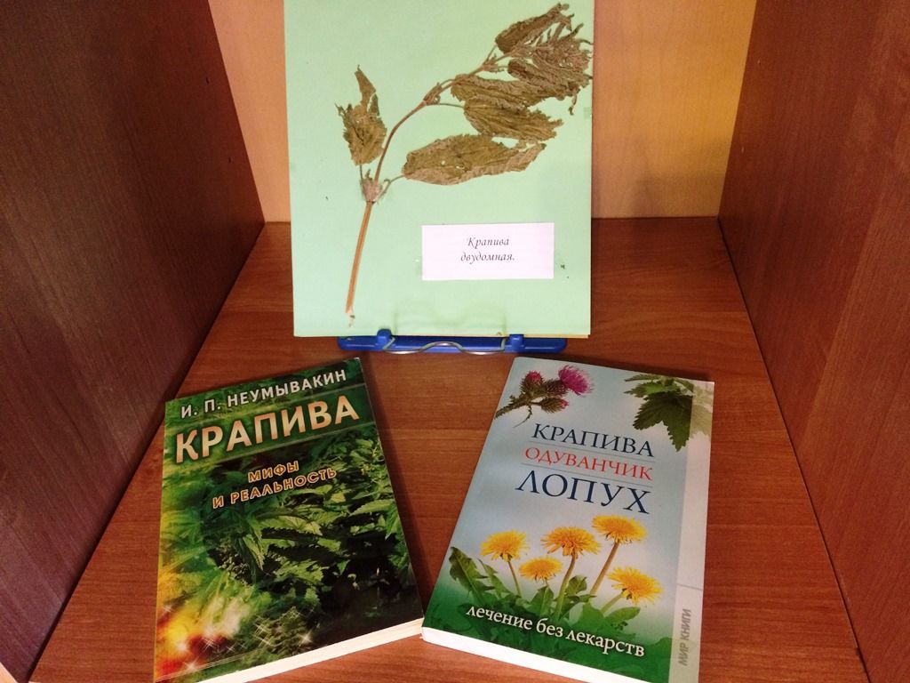 «Удивительный мир природы» - о лекарственных растениях расскажет Лаишевская центральная библиотека