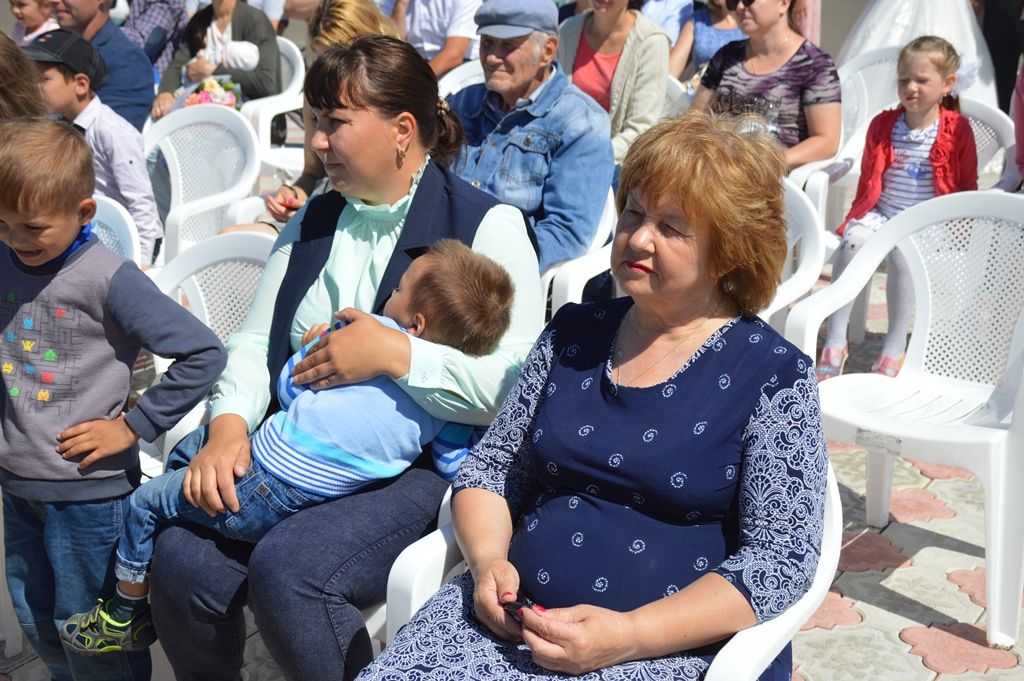 В Лаишево широко отпраздновали День семьи, любви и верности