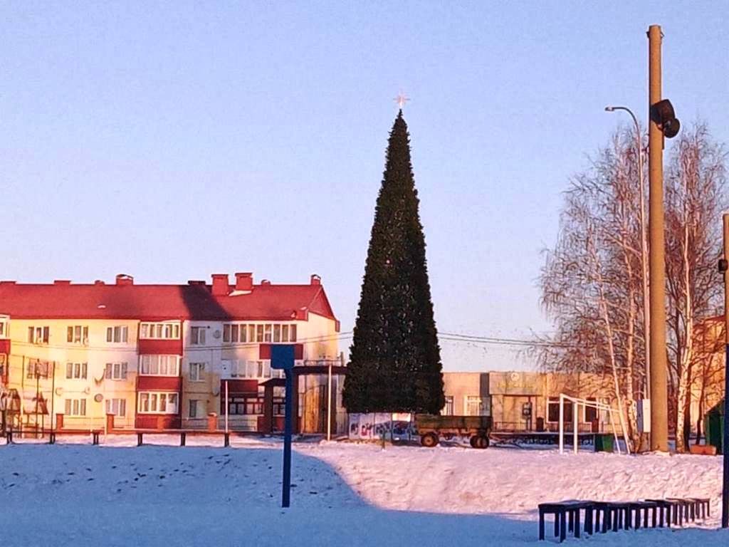 В Лаишево установили главную елку города