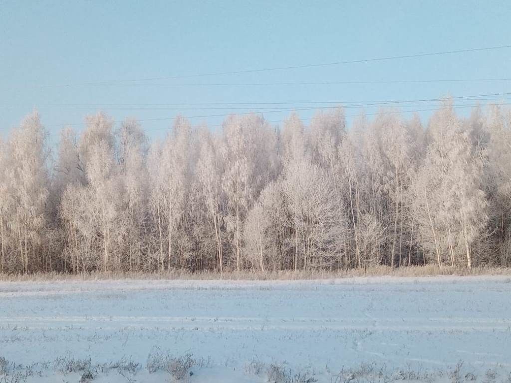 Прекрасен, чуден зимний лес