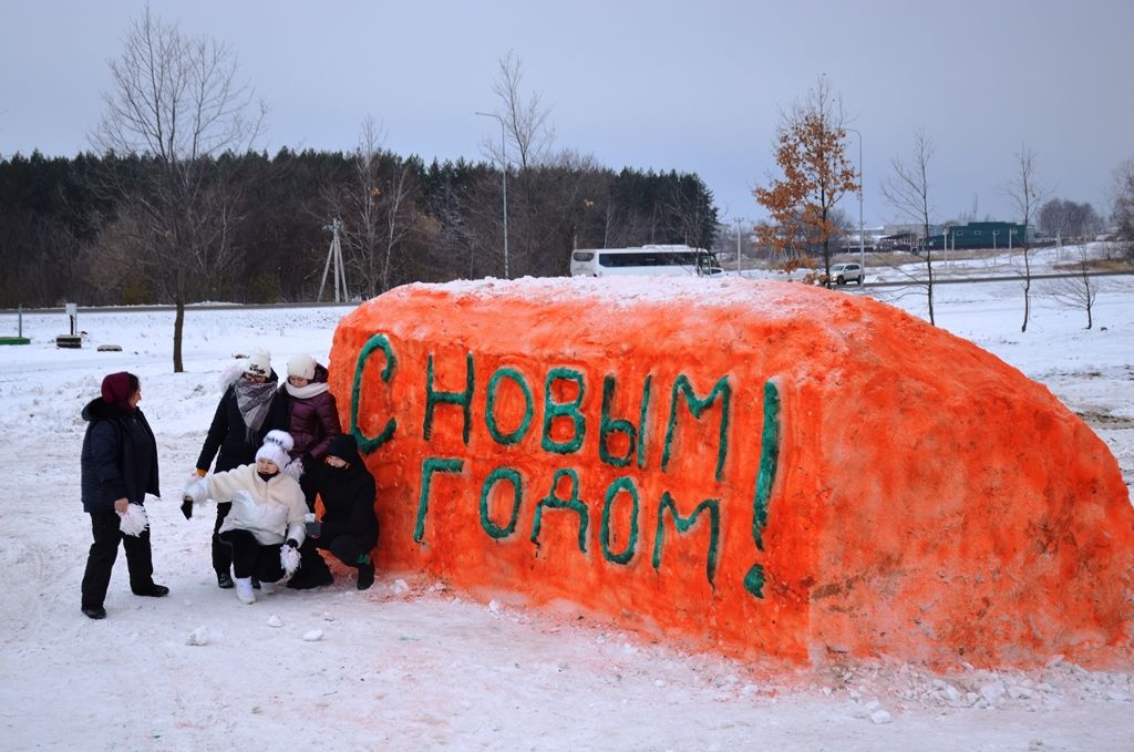 Лаишево новогоднее