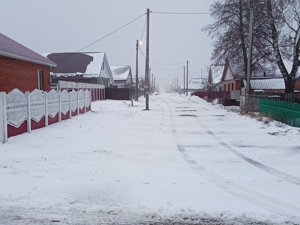 Лаишевский район завалило снегом