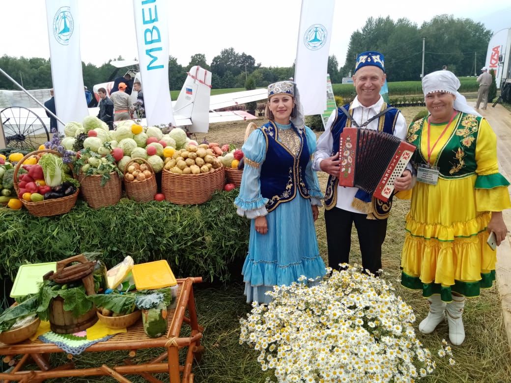 День поля в Татарстане - 2020: павильон Лаишевского района