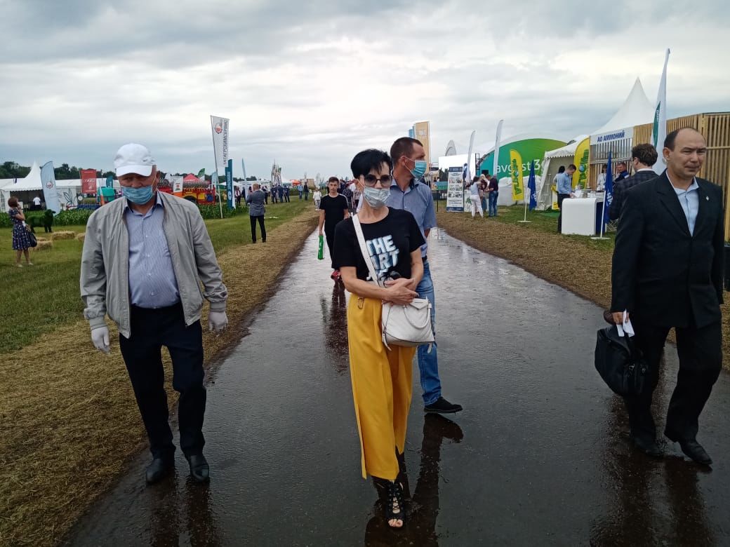 День поля в Татарстане - 2020: конные выступления