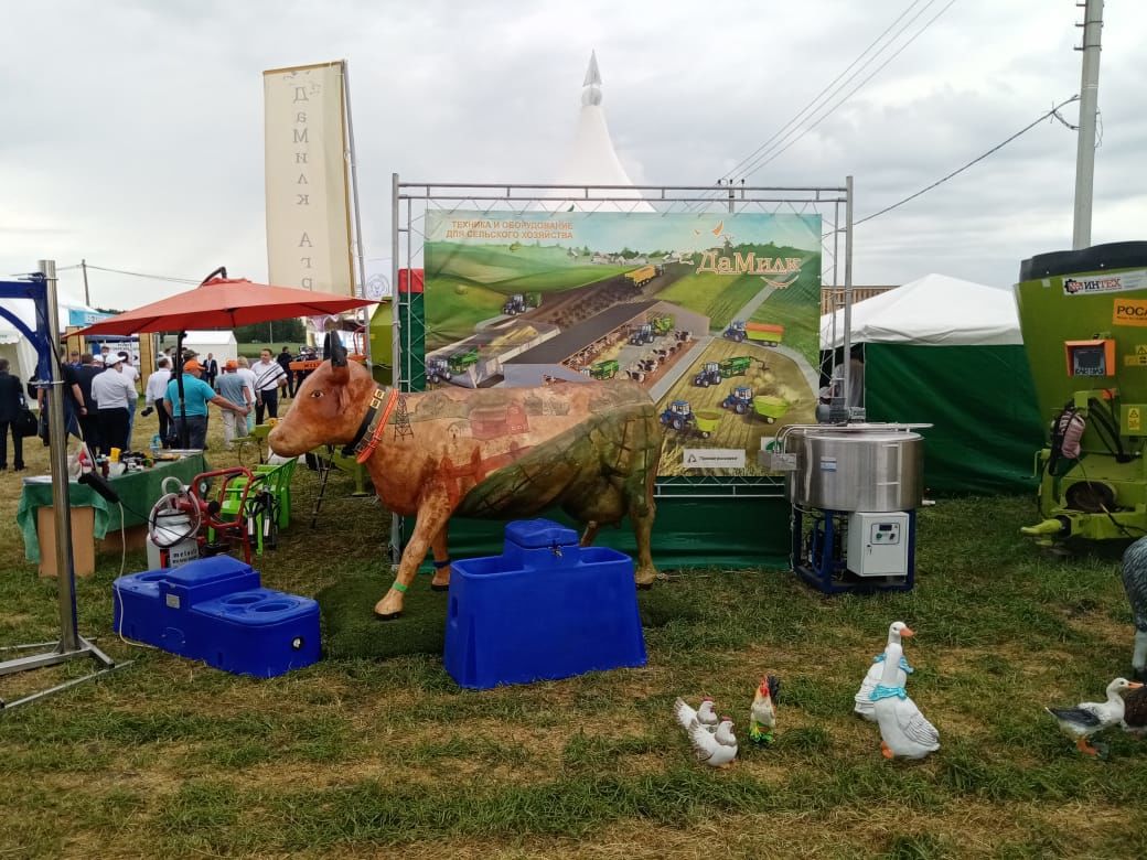 День поля в Татарстане - 2020: конные выступления
