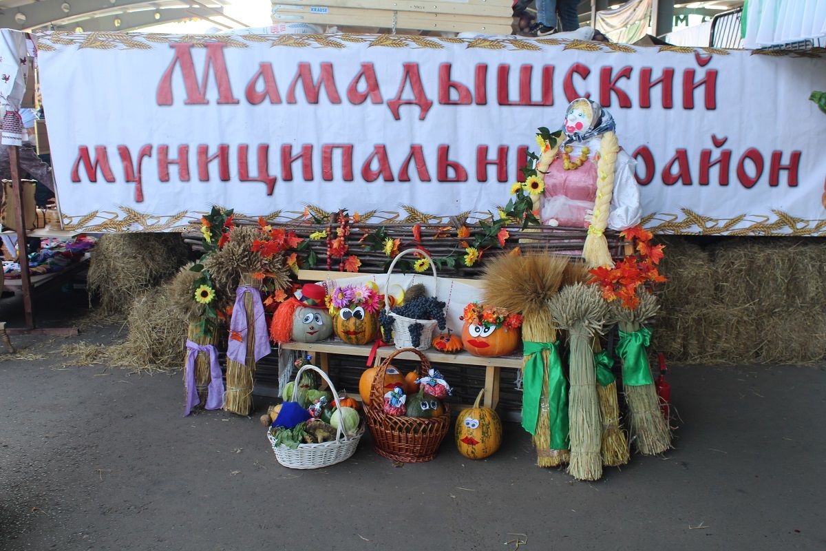 Лаишевский район принял участие в ярмарке достижений образовательных организаций