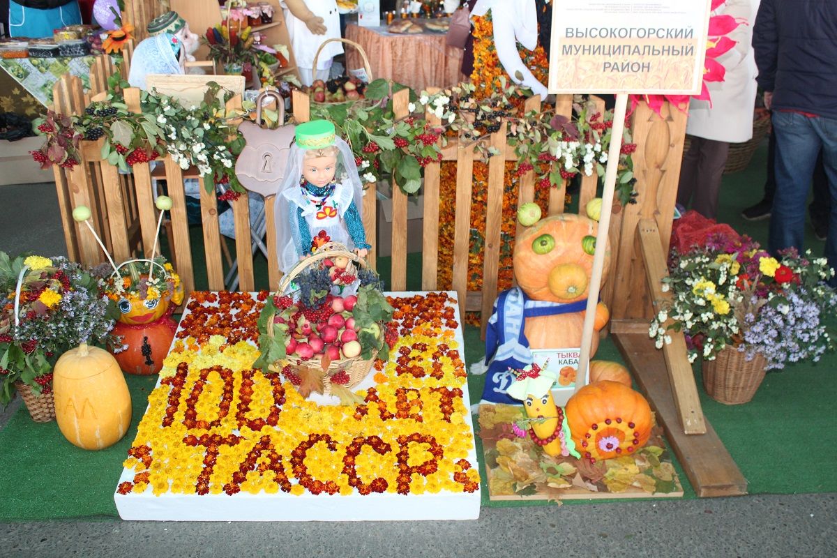 Лаишевский район принял участие в ярмарке достижений образовательных организаций