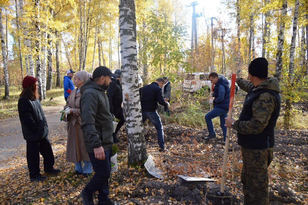 В Лаишевском районе радеют за сохранение леса
