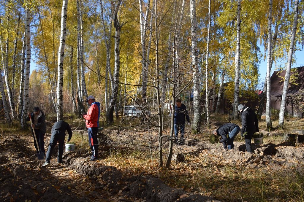 В Лаишевском районе радеют за сохранение леса