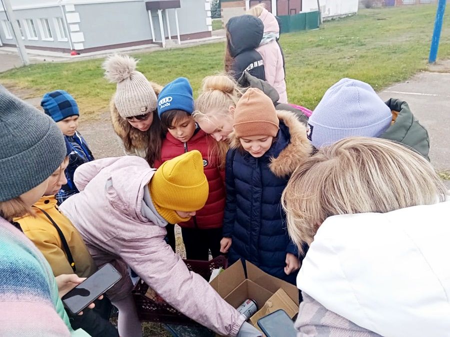 На экопразднике ученики Лаишевской средней школы №2 сделали много полезных дел