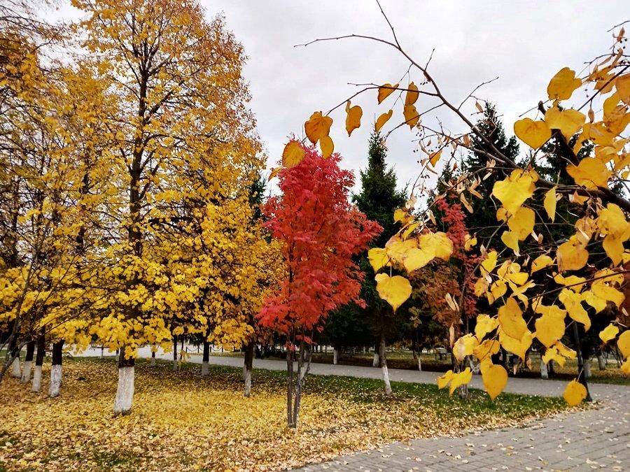Фото читателя. Осенний фото-экскурс по городу Лаишево