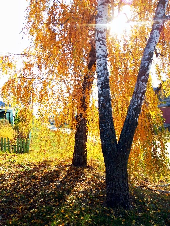 Фото читателя. Осенний фото-экскурс по городу Лаишево
