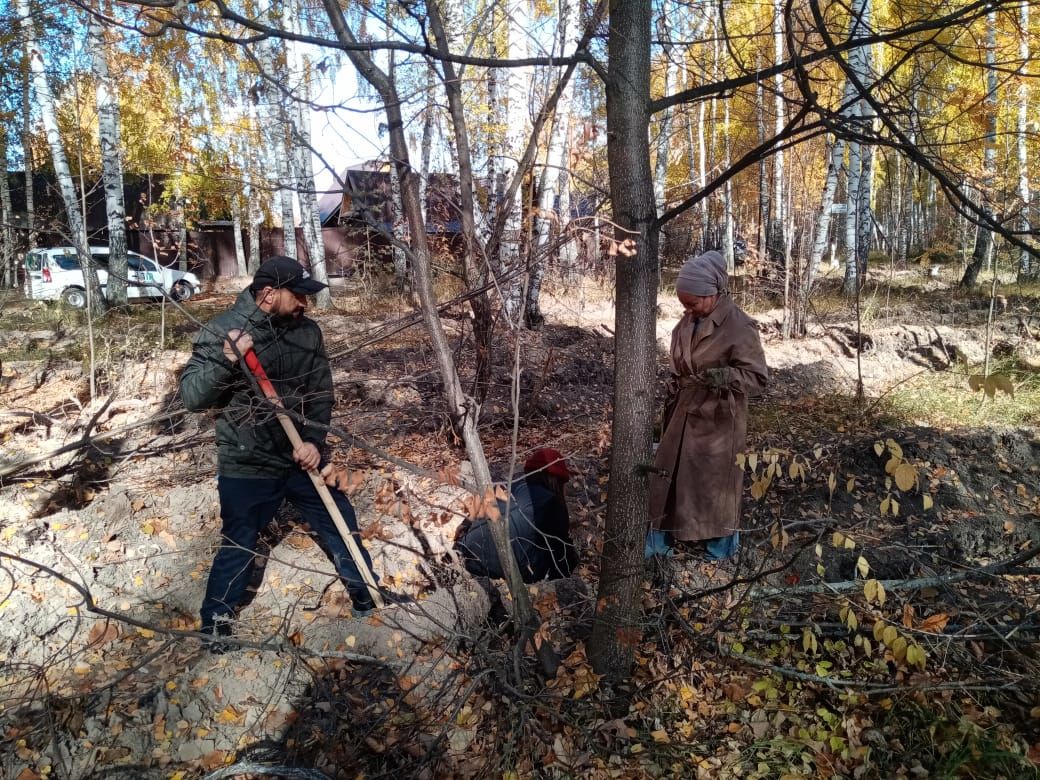В Лаишевском районе волонтеры посадили хвойные саженцы