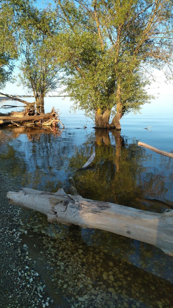 Лаишево майское