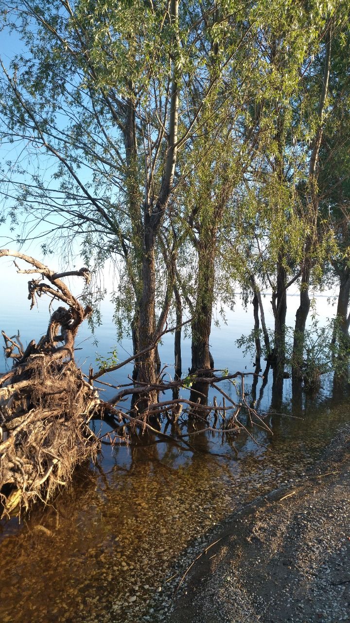 Лаишево майское