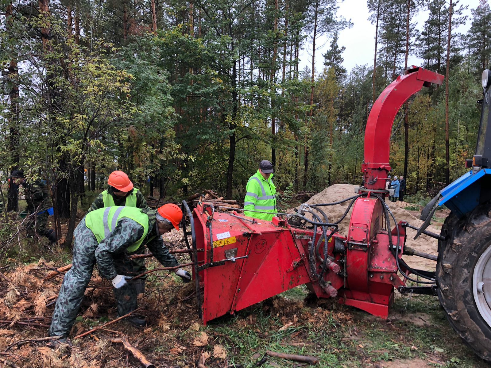 Более 400 волонтеров Лаишевского района вышли на уборку территории лесного фонда в Столбищенском лесничестве