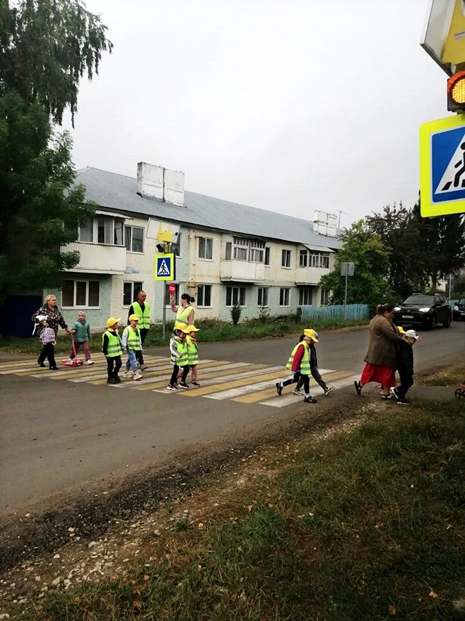 В лаишевском детском саду «Рябинка» провели акцию "Безопасная зебра"