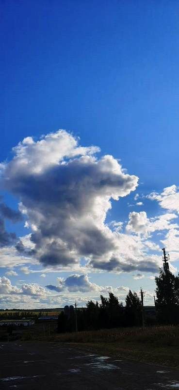 Фото читателя. Облака воздушные, ветерку послушные