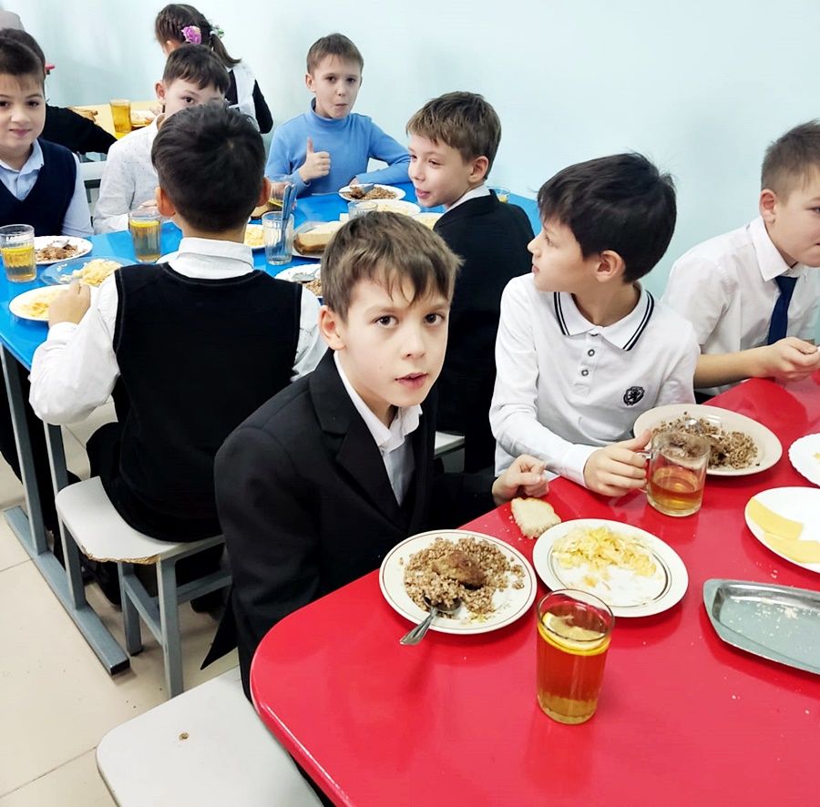 Родительский комитет Лаишевского района держит на контроле питание школьников