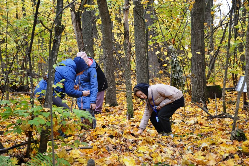 Поездка в лес подарила лаишевским школьникам много ярких впечатлений