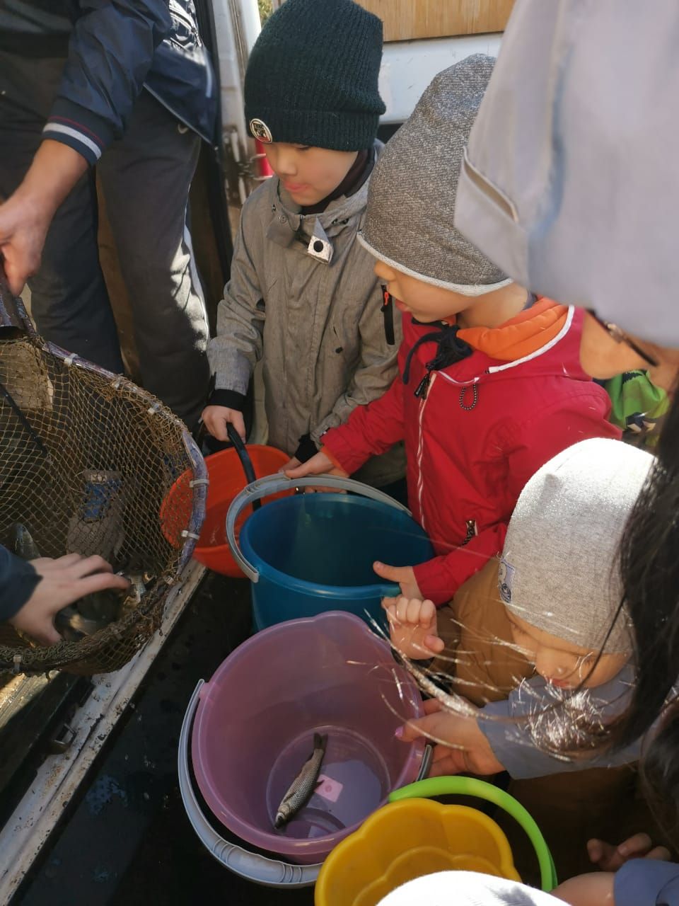 В озеро села Тарлаши Лаишевского района выпустили более 200 кг мальков ценной породы рыбы