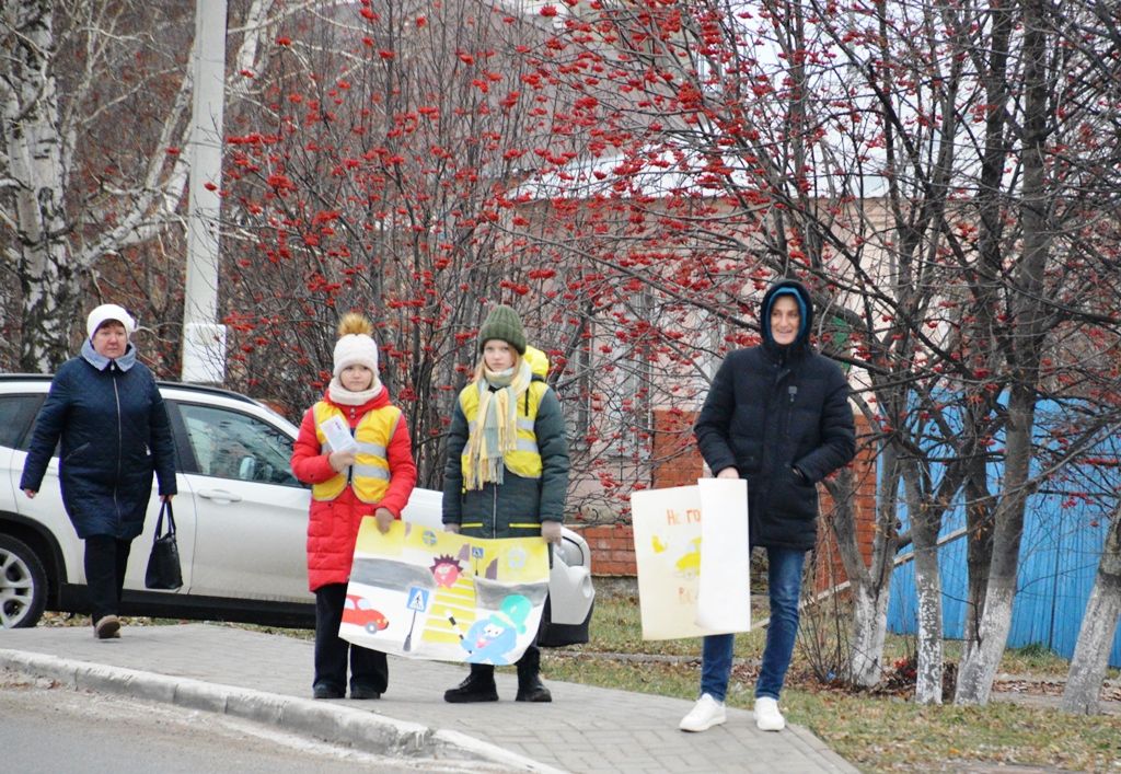 В Лаишево прошла акция ко Дню памяти жертв ДТП