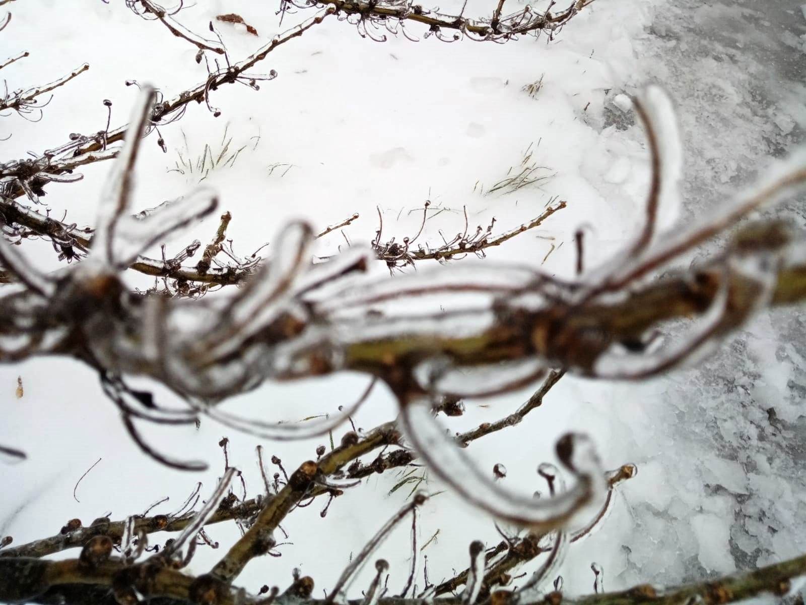 Фото читателя: застывшие капли ледяного дождя