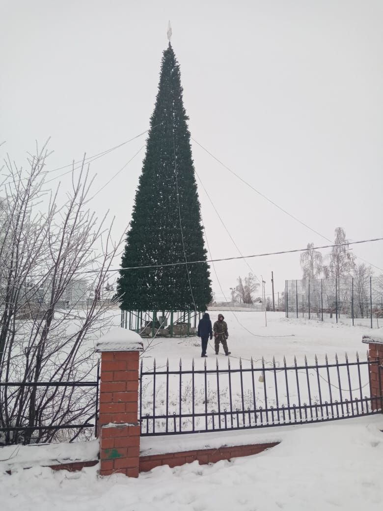 В Лаишево украшают главную елку