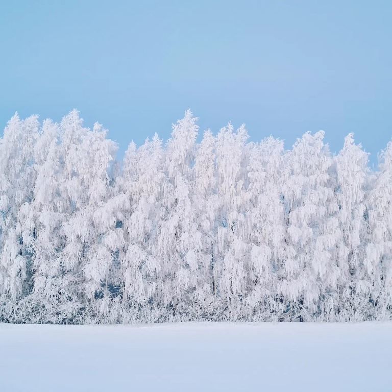Зимний пейзаж от Марселя Булатова