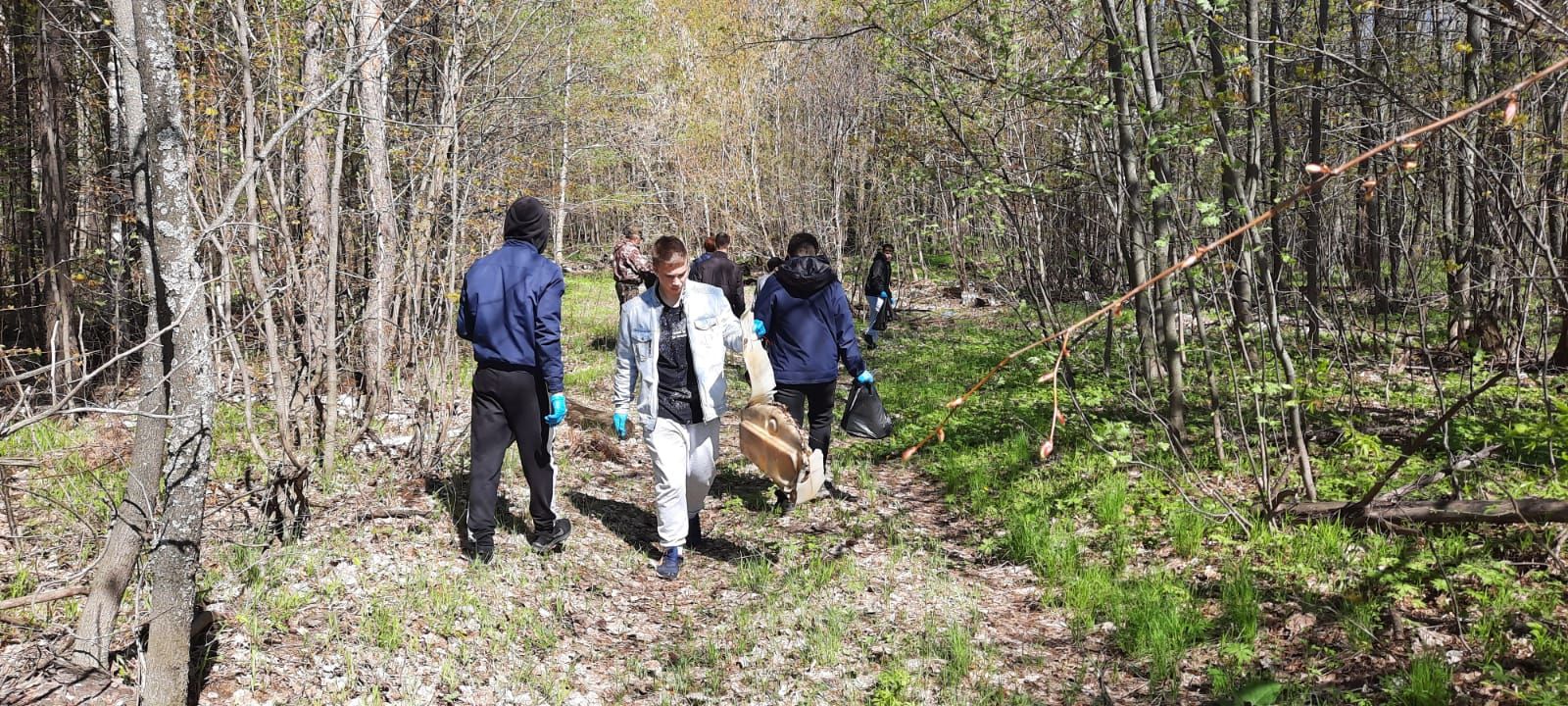 Сегодня в Лаишево прошла акция «Чистые леса Татарстана»