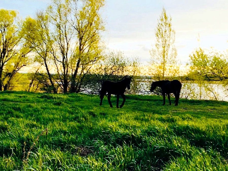 Нажия Хусаинова делится фотографиями замечательных пейзажей Курманаково