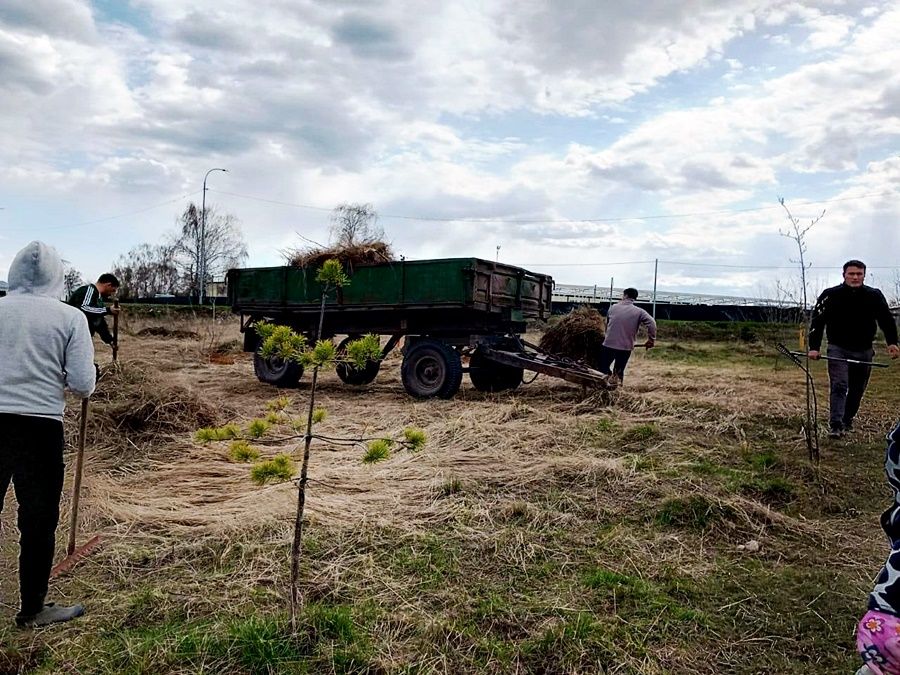 В Лаишеве ТОС "Сабантуй" организовал субботник по уборке территории
