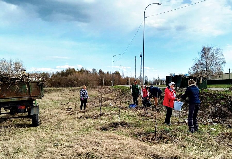 В Лаишеве ТОС "Сабантуй" организовал субботник по уборке территории