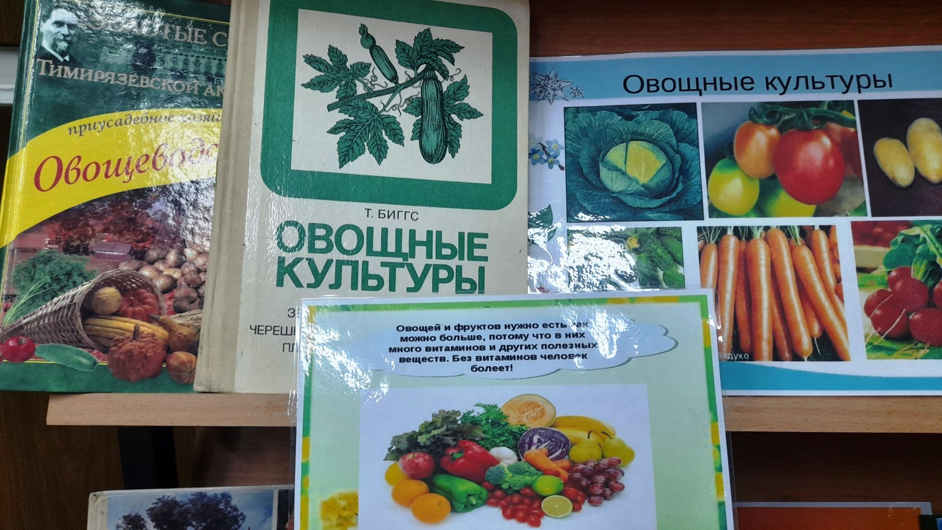 Наступившее календарное лето не балует огородников Лаишевского района теплой погодой