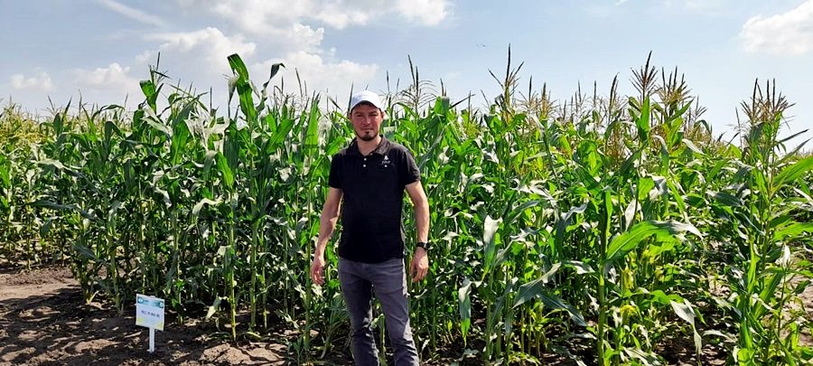 В Лаишевском районе прошел республиканский  «День поля Аграрной науки – 2022»