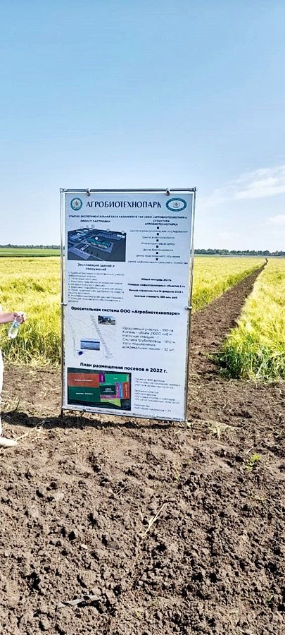 В Лаишевском районе прошел республиканский  «День поля Аграрной науки – 2022»
