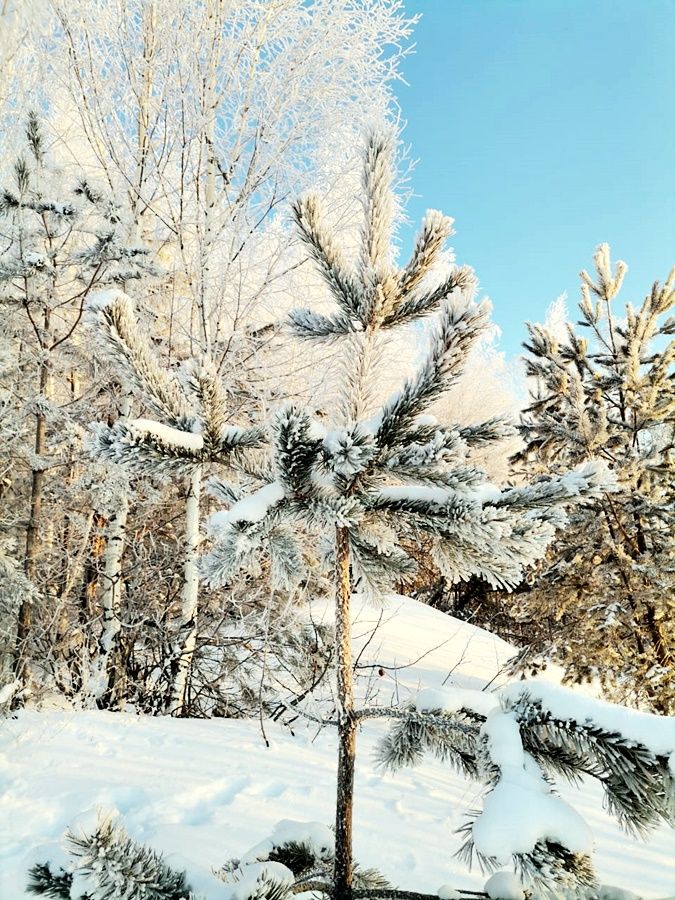 Фото читателя. Снова нас радует своими фотоработами Эльза Аскарова