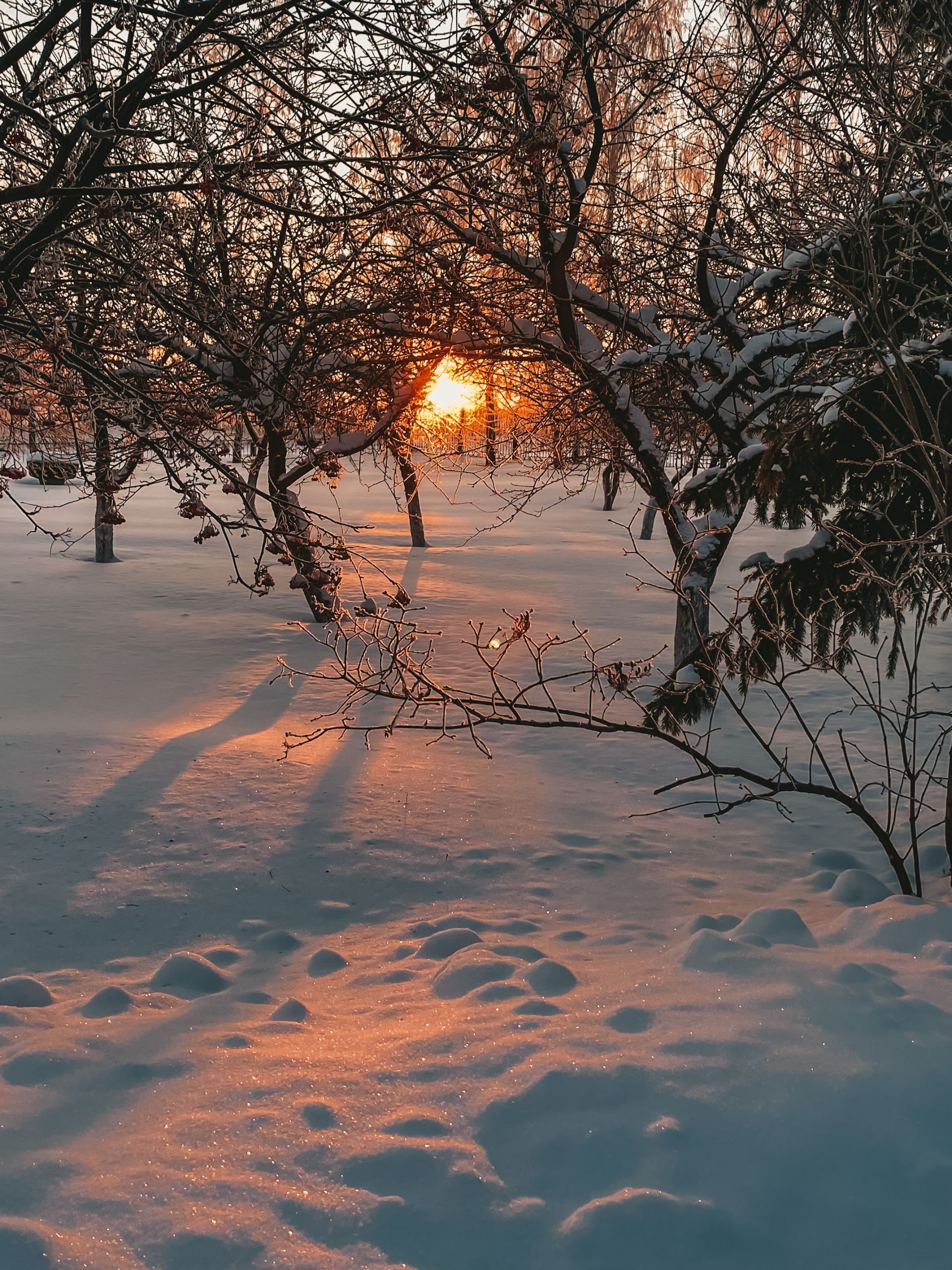 Фото читателя: морозное утро