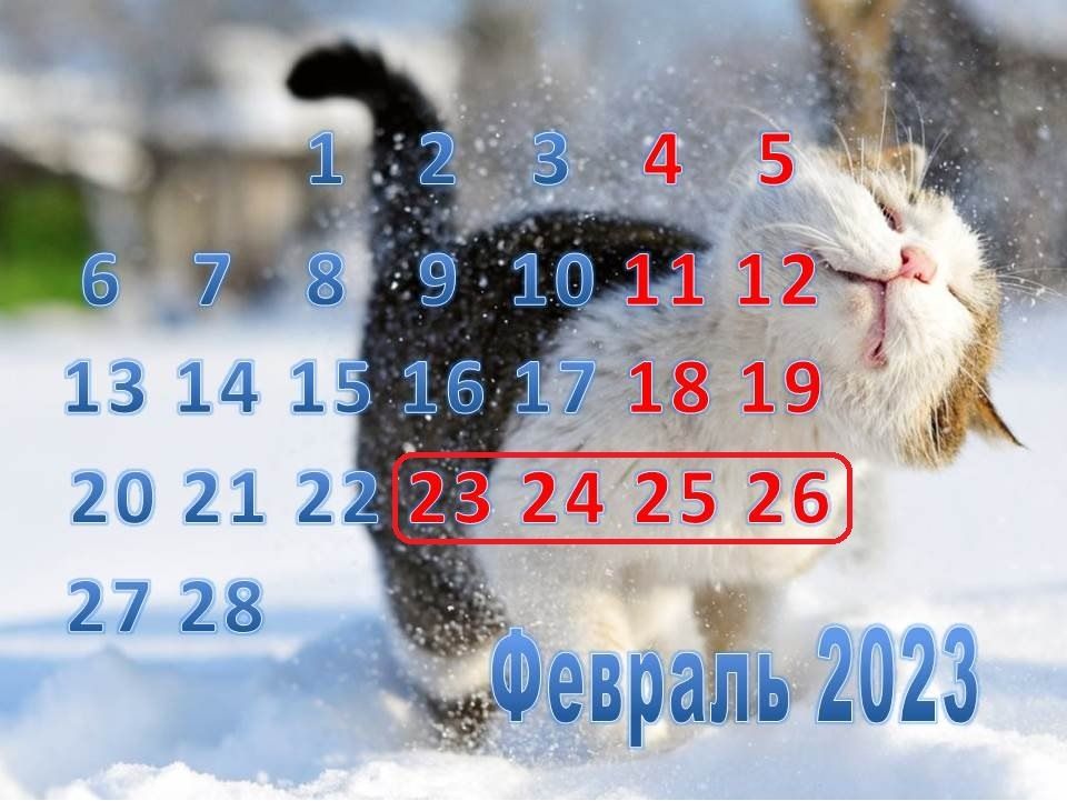 В предпоследнюю неделю февраля лаишевцы смогут отдохнуть целых четыре дня