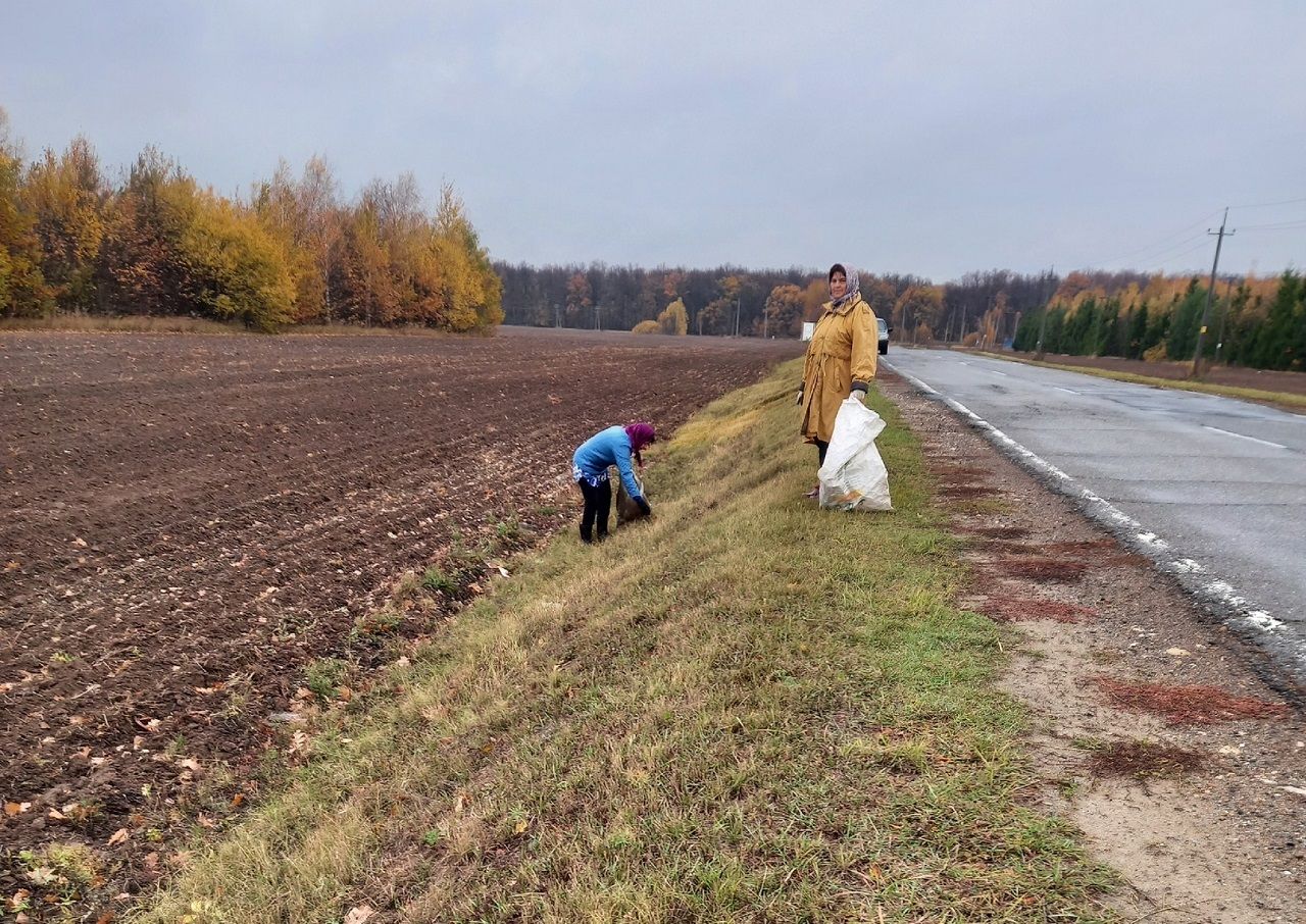 В Атабаевском поселении Лаишевского района поддерживают чистоту