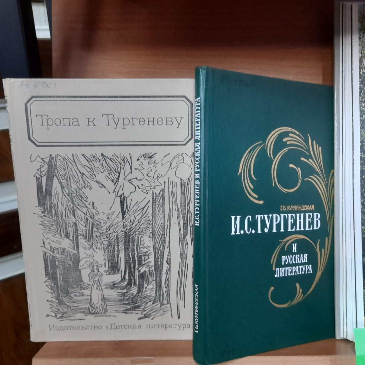 В Лаишевской библиотеке оформлена выставка-портрет «Певец русской души и природы»