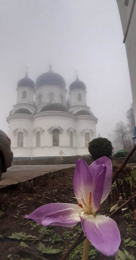 Путешествуем по России. Фотографиями туманного Владимира поделился Дмитрий Маринин