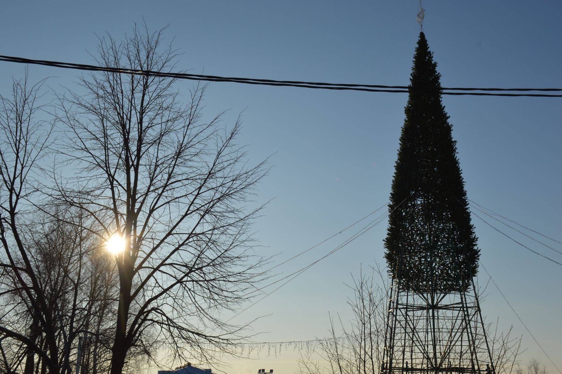 Продолжается установка главной елки города Лаишево