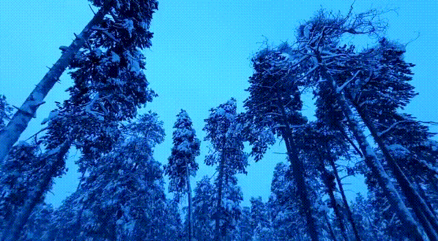 С новым хорошим днем и с новыми мудрыми мыслями