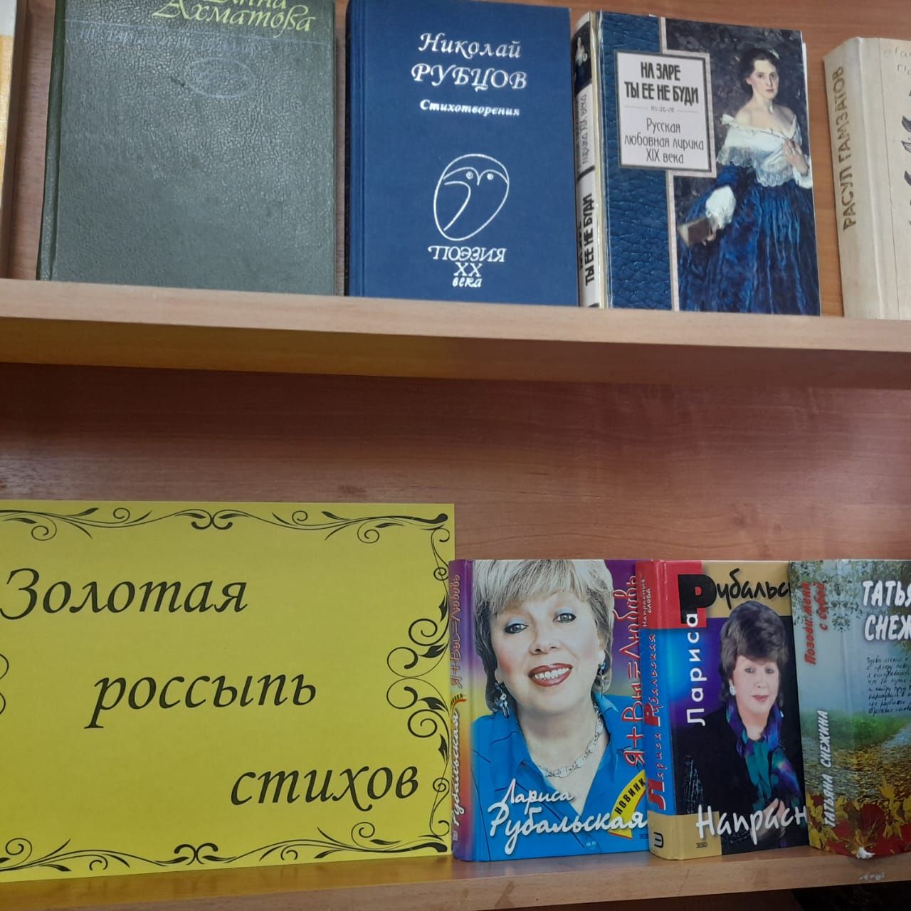 В Лаишевской центральной библиотеке отметили День поэзии