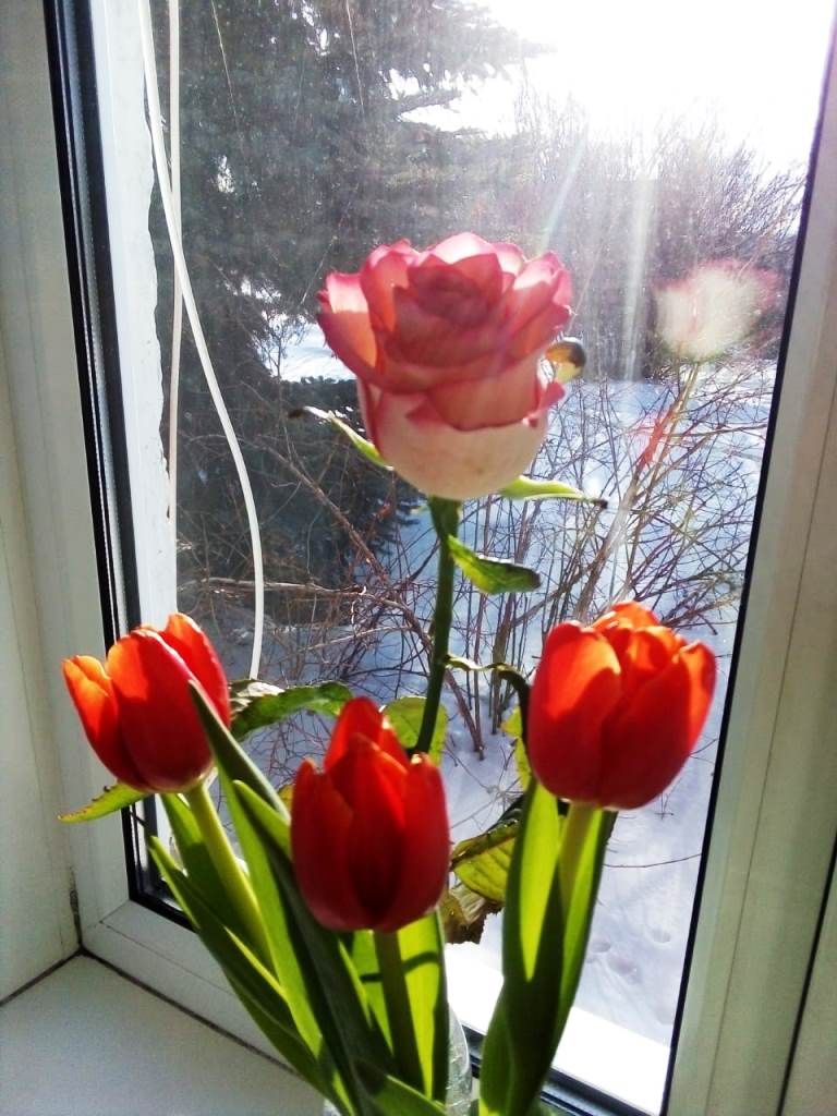 С наступающим днем 8 Марта поздравляет наша читательница